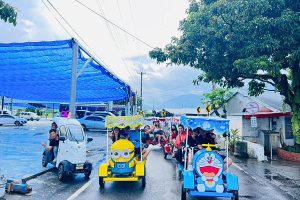 池上電動車自由行正夯！半日行程輕鬆暢遊伯朗大道、金城武樹