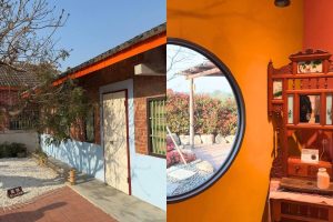 雲林景點｜虎尾「虎珍堂森之院」百年三合院變森林系秘境 地瓜甜點＋小動物互動一次滿足