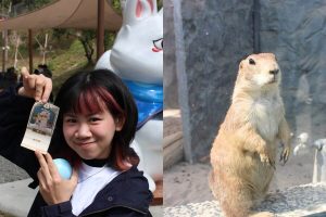 高雄一日遊｜最新親子景點「野森動物學校 」3月正式開放 狐獴互動、狐狸谷、栗翅鷹上手體驗＋內門美食一日遊