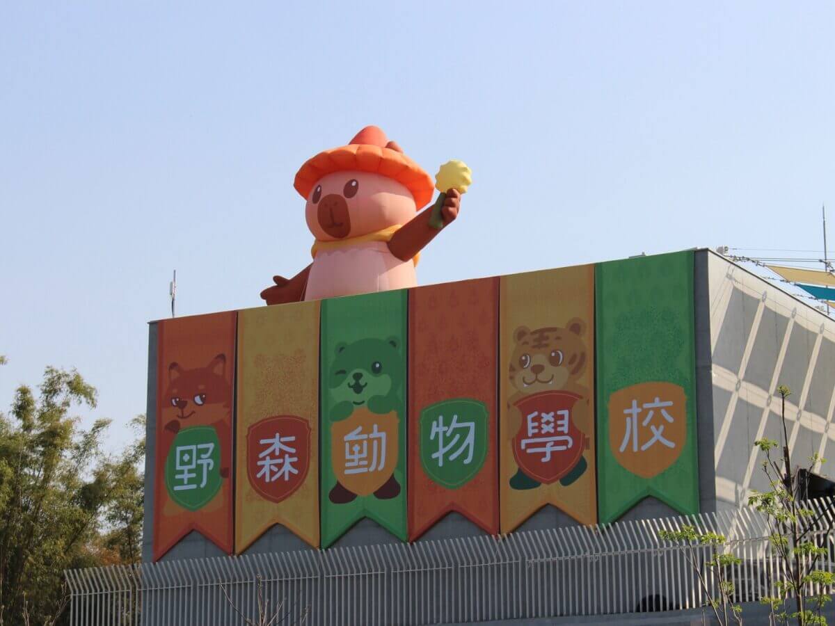 高雄一日遊|最新親子景點「野森動物學校 」3 月正式開放!狐獴互動、狐狸谷、栗翅鷹上手體驗+內門美食一日遊