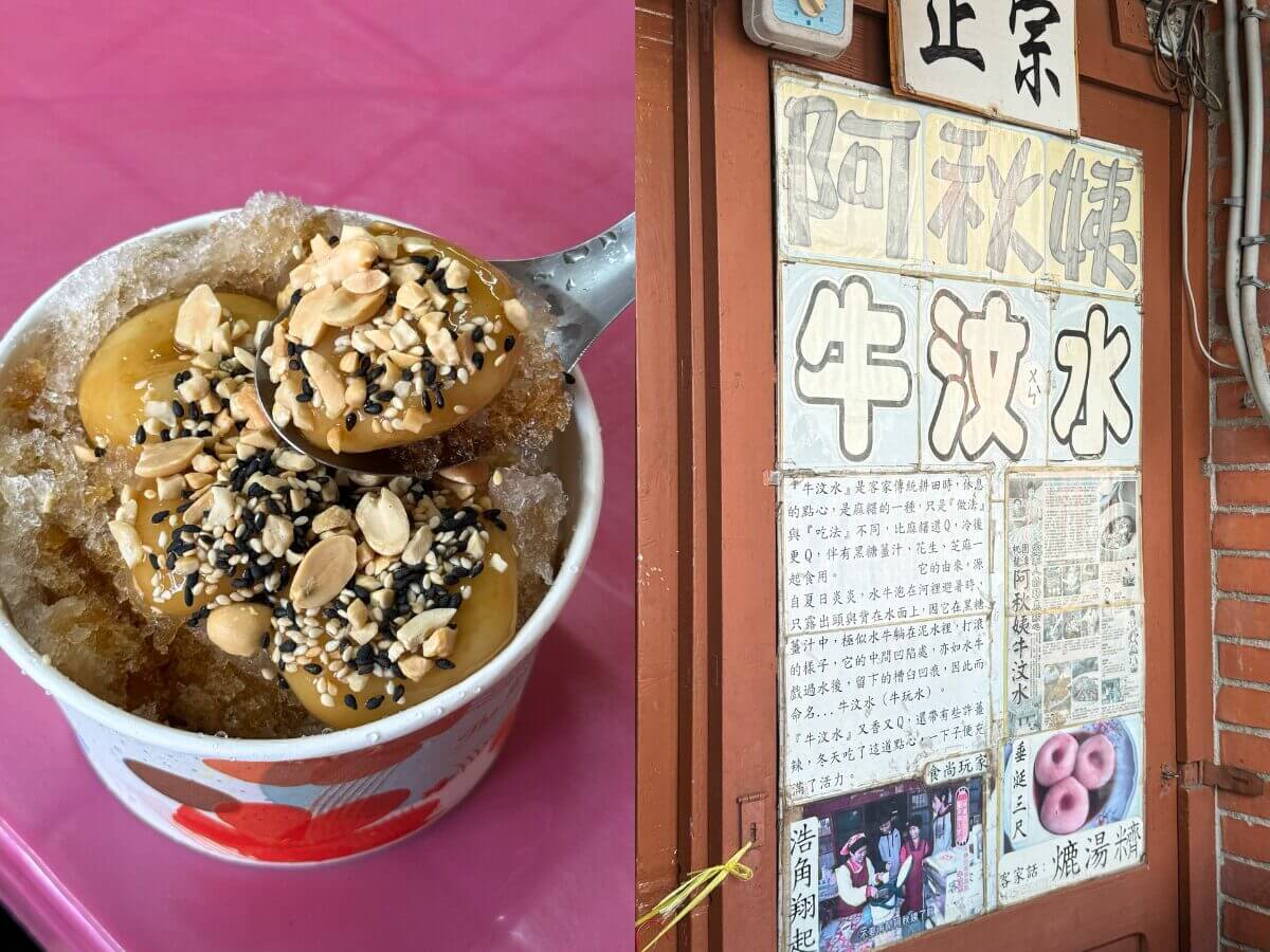 桃園賞桐花一日遊|打卡龍潭限定五月雪!公開被低估的客家老街美食TOP3