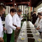 雲端上對決 「雲深製茶」攜手茶改場 啟動史上最高巔峰製茶賽
