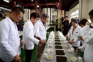 雲端上對決 「雲深製茶」攜手茶改場 啟動史上最高巔峰製茶賽