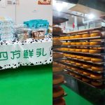 竹南頭份一日遊 釣蝦場竟然不能釣蝦 爆汁湯包、茶磚手作茶、全台唯一室內巨型乳牛藏在這