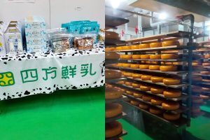 竹南頭份一日遊 釣蝦場竟然不能釣蝦 爆汁湯包、茶磚手作茶、全台唯一室內巨型乳牛藏在這