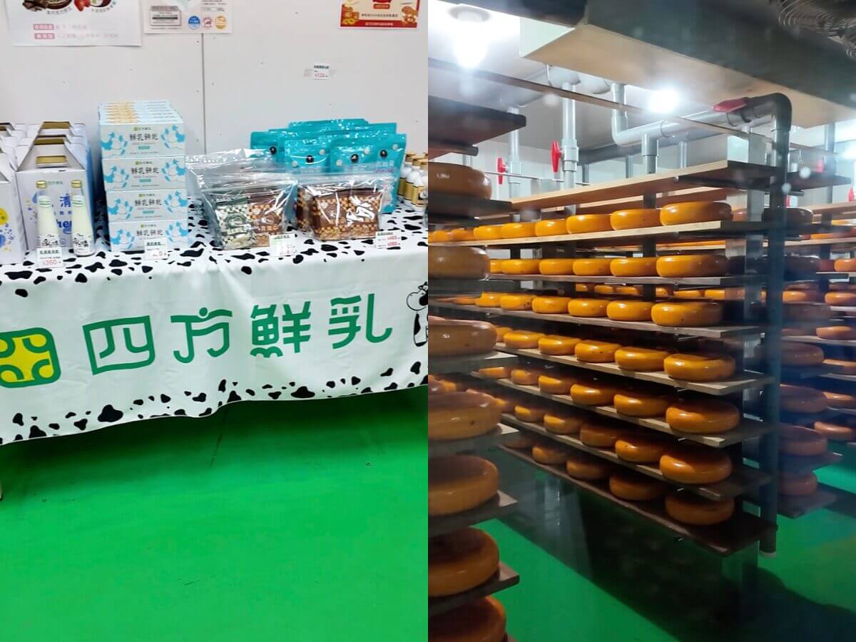 竹南頭份一日遊|必吃爆汁湯包、茶磚手作茶解膩,順遊全台唯一室內乳牛!最後用「被熱炒耽誤的釣蝦場」完美收尾