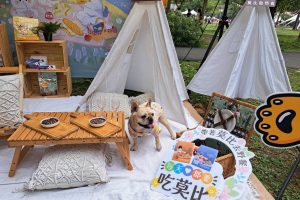 莫比自然食33週年送10萬元紀念金幣、Dyson家電再加碼「飼料包養一年」