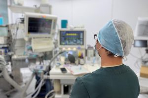 高雄寵物醫療中心 從門診檢查到分科治療 專業守護毛孩健康
