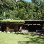 高雄五大休閒農業區串聯山城農遊  邀民眾體驗初夏慢活旅程