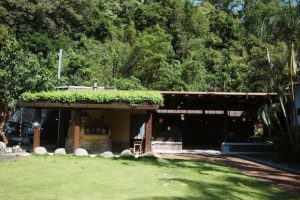高雄五大休閒農業區串聯山城農遊  邀民眾體驗初夏慢活旅程