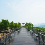 今年夏季留半天給台東 走進位於初鹿植物園 導覽、草本火鍋與慢旅行一次體驗