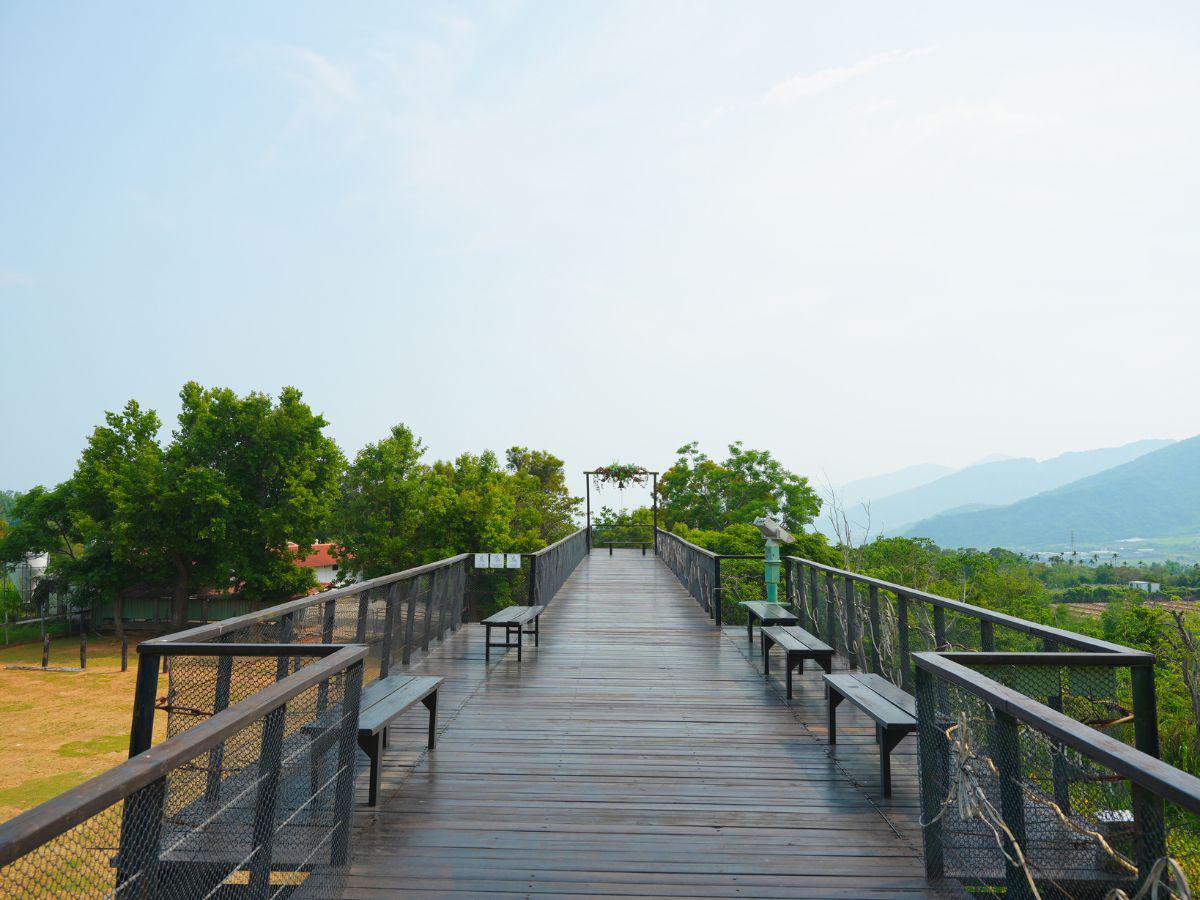 今年夏季留半天給台東 走進位於初鹿植物園 導覽、草本火鍋與慢旅行一次體驗