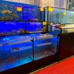 永和聚餐推薦這間15年合菜餐廳 現撈海鮮免跑漁港就吃得到