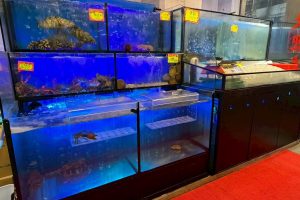 永和聚餐推薦這間15年合菜餐廳 現撈海鮮免跑漁港就吃得到
