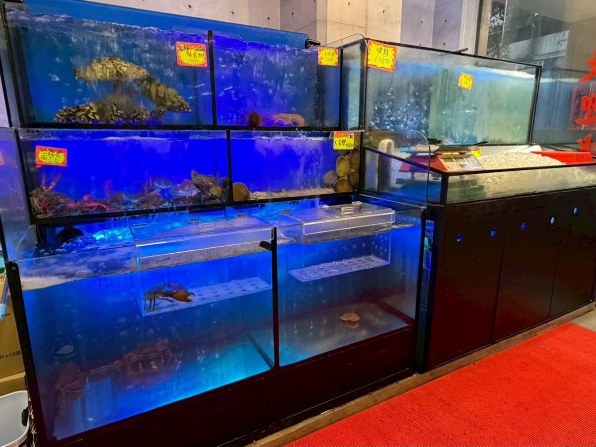 永和聚餐推薦這間15年合菜餐廳 現撈海鮮免跑漁港就吃得到