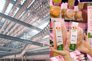 健身當道 金豐盛 × 樂家康超市打造全新蛋白質專區 生鮮、即食一站購足