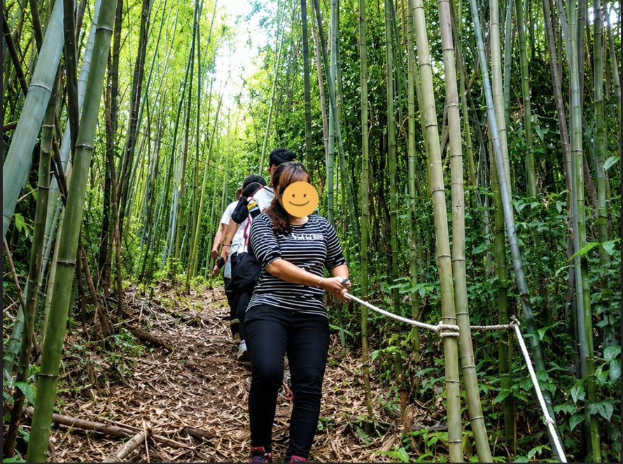 烏來泰雅獵人文化體驗帶領旅客走進山林,理解原住民族與自然共生的生活方式(圖/Medick Marketing Ltd.提供)