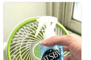 夏季電費大作戰 租屋族曝「降溫神物」配電扇 網共鳴：省錢又消暑