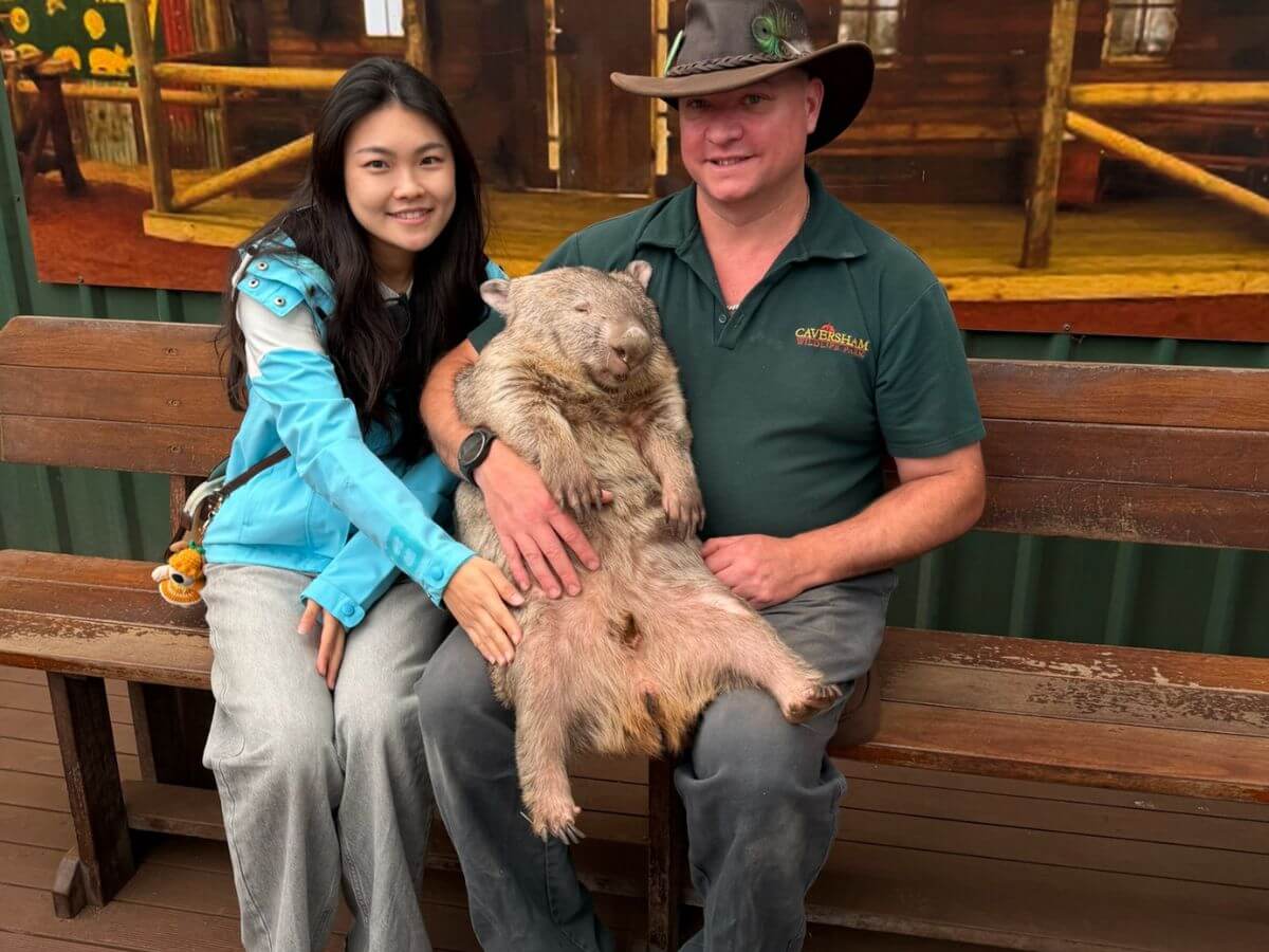 澳洲景點推薦 2026｜買門票就送無尾熊合照 在地人必去高CP值動物園 餵袋鼠、摸袋熊一次完成