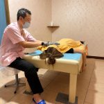 彰化市全身按摩先了解疲勞部位 肩頸、腰背與臀腿依生活習慣安排放鬆重點