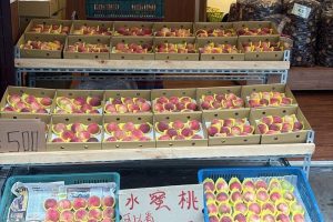 買齊桃園伴手禮不必東奔西走 大溪農特產店蒐羅豆干、水蜜桃、香菇 一次選購