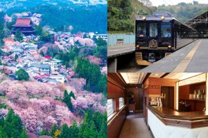 奈良最新「世界遺產」亮相 乘坐復古優雅觀光電車來趟秘境慢旅行
