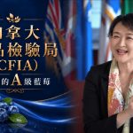 脆熱議追蹤「全聯的加拿大藍莓」富紐翠A級冷凍藍莓回來了