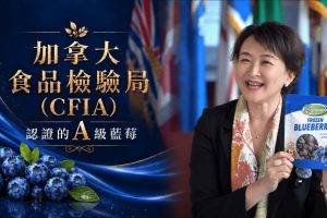 脆熱議追蹤「全聯的加拿大藍莓」富紐翠A級冷凍藍莓回來了