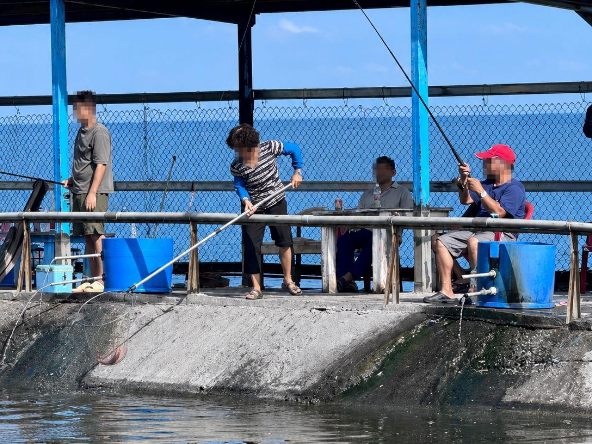 走進新北八里海釣場 考驗釣客看標技巧與搏魚技術  感受純海水池釣大物試煉場